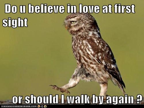 Bad Pick-Up Line Owl is Interested in You