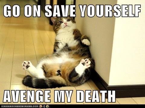 GO ON SAVE YOURSELF  AVENGE MY DEATH