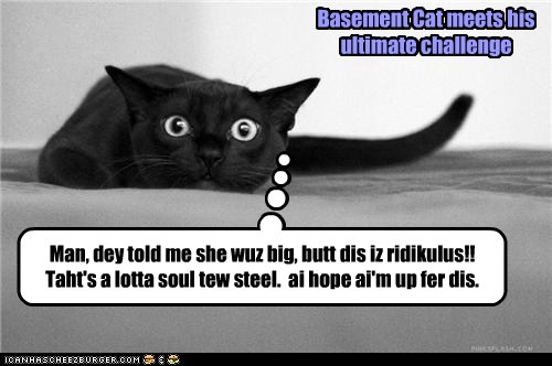 evan Basement Cat iz impressed by Aunt Bertha
