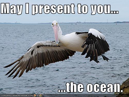 May I present to you...  ...the ocean.
