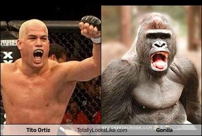 Tito Ortiz Totally Looks Like Gorilla