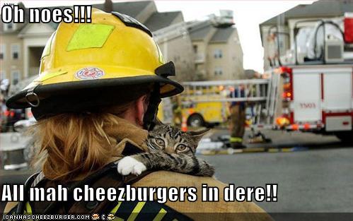 Oh noes!!!  All mah cheezburgers in dere!!