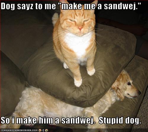 Dog sayz to me "make me a sandwej."   So i make him a sandwej.  Stupid dog.