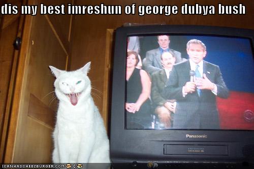 dis my best imreshun of george dubya bush