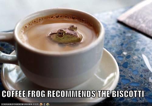 COFFEE FROG RECOMMENDS THE BISCOTTI