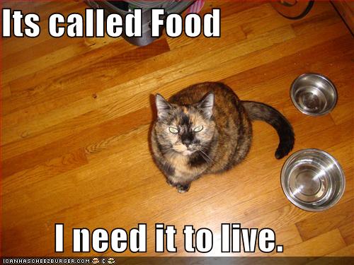 Its called Food  I need it to live.