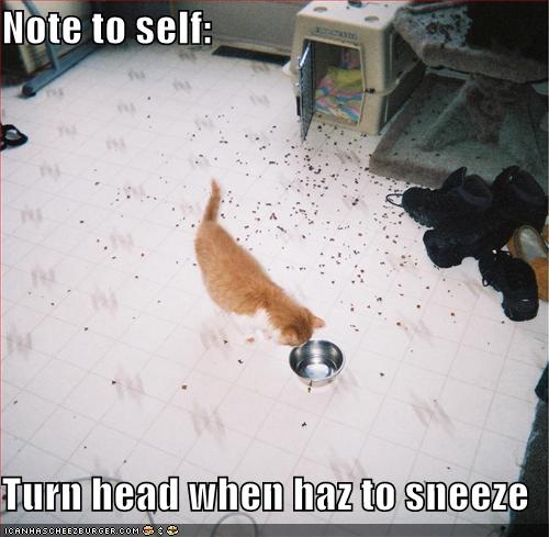 Note to self:  Turn head when haz to sneeze