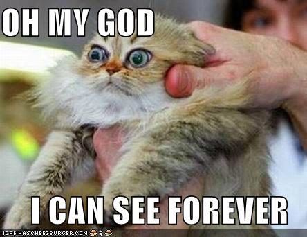 This is how I feel going outside after the rain