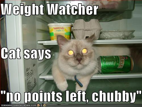 Weight Watcher  Cat says "no points left, chubby"