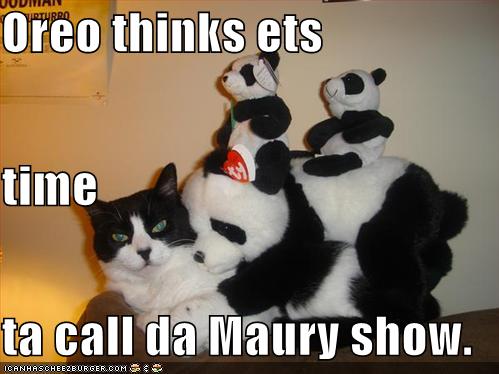 Oreo thinks ets time  ta call da Maury show.