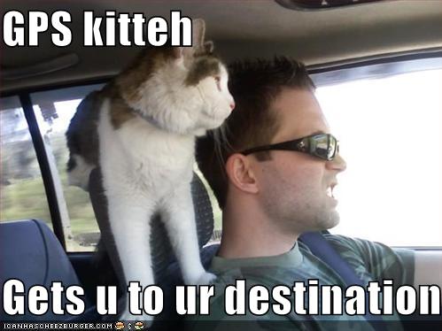 GPS kitteh  Gets u to ur destination