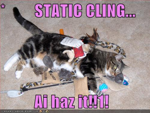 *         STATIC CLING...                   Ai haz it!!1!