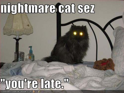 nightmarecatse128593260451698586.jpg