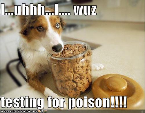 I...uhhh...I.... wuz  testing for poison!!!!