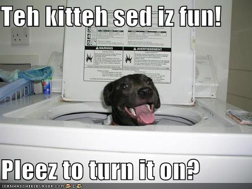 Teh kitteh sed iz fun!  Pleez to turn it on?