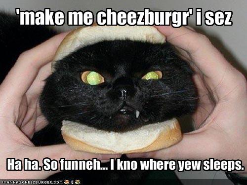 'make me cheezburgr' i sez