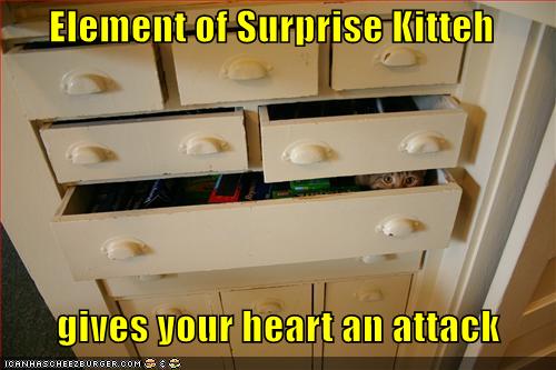 Element of Surprise Kitteh         gives your heart an attack