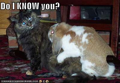 Do I KNOW you?