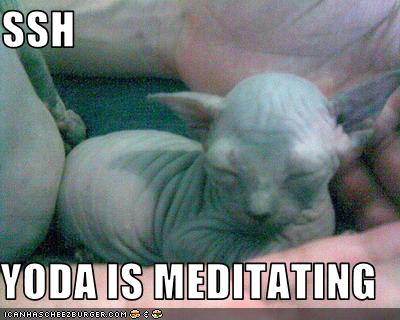 SSH  YODA IS MEDITATING
