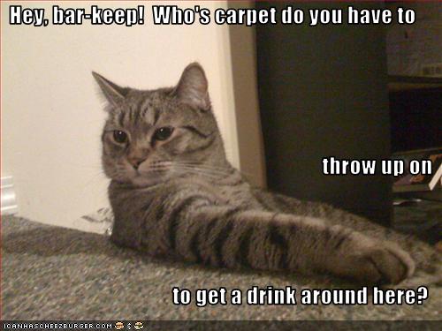 Hey, bar-keep!  Who's carpet do you have to throw up on  to get a drink around here?