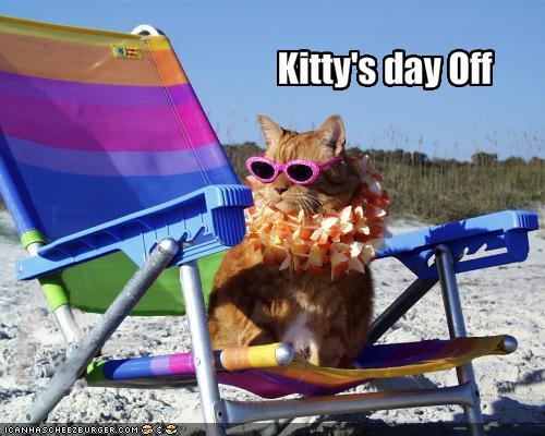 Kitty's day Off