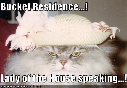Bucket Residence...!  Lady of the House speaking...!