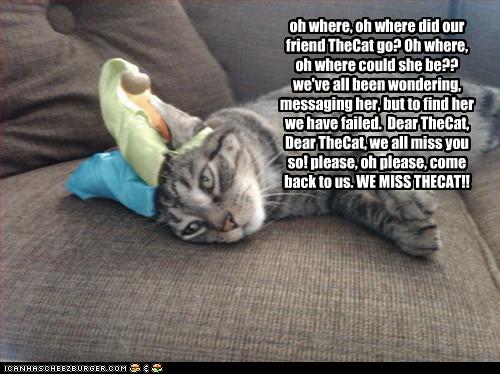 oh where, oh where did our friend TheCat go? Oh where, oh where could she be?? we've all been wondering, messaging her, but to find her we have failed.  Dear TheCat, Dear TheCat, we all miss you so! please, oh please, come back to us. WE MISS THECAT!!