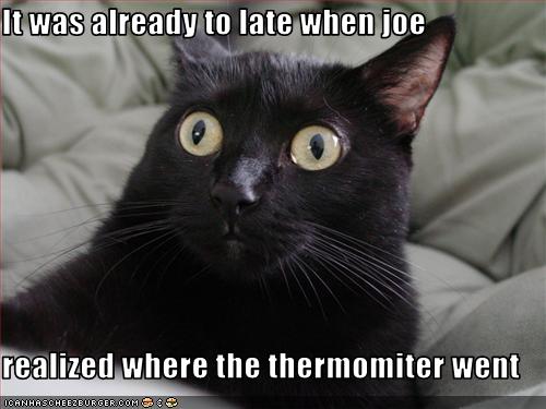 It was already to late when joe  realized where the thermomiter went