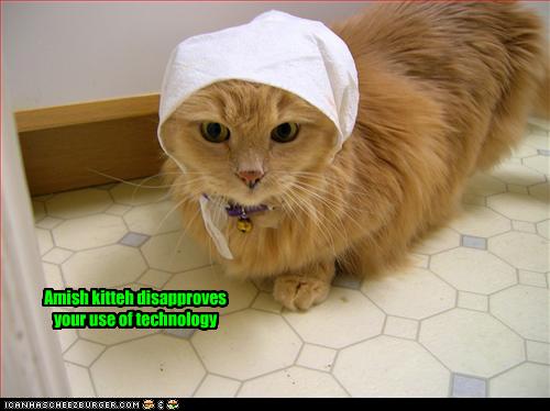 Amish kitteh disapproves your use of technology