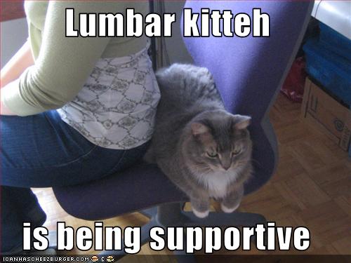 Lumbar kitteh  is being supportive