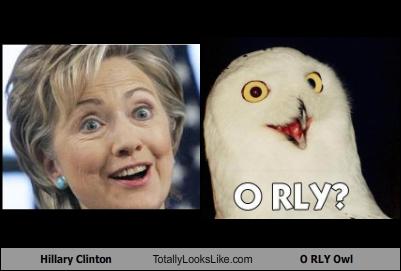 Hillary Clinton Totally Looks Like O RLY Owl