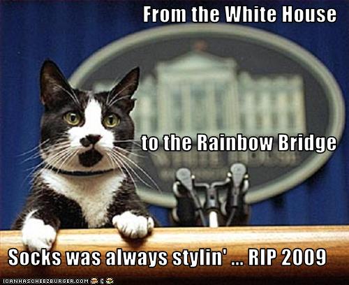 From the White House to the Rainbow Bridge Socks was always stylin' ... RIP 2009