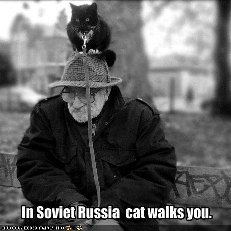 In Soviet Russia  cat walks you.