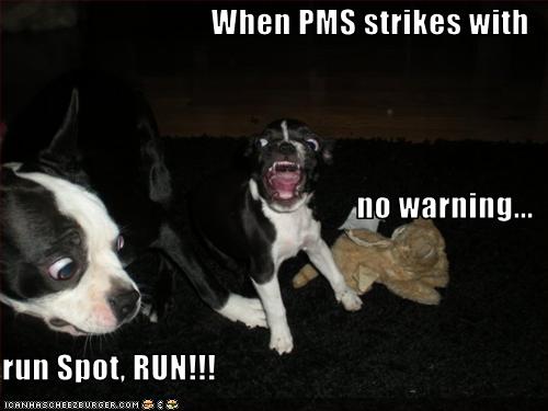 When PMS strikes with no warning... run Spot, RUN!!!