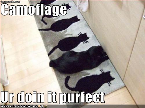 Camoflage  Ur doin it purfect