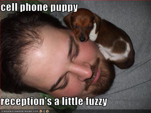 cell phone puppy  reception's a little fuzzy