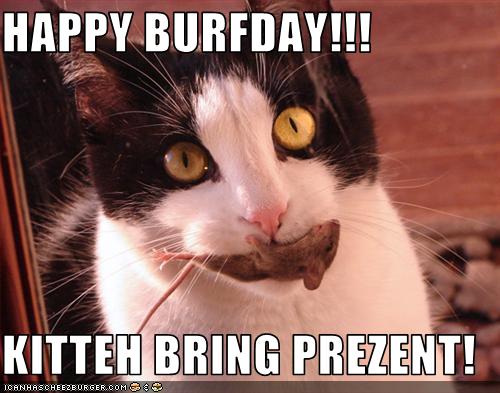 HAPPY BURFDAY!!!  KITTEH BRING PREZENT!