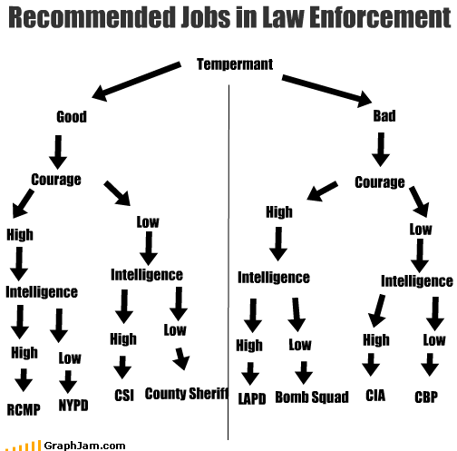 Recommended Jobs in Law Enforcement