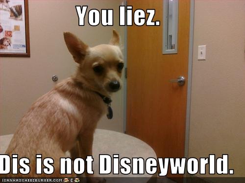 You liez.  Dis is not Disneyworld.