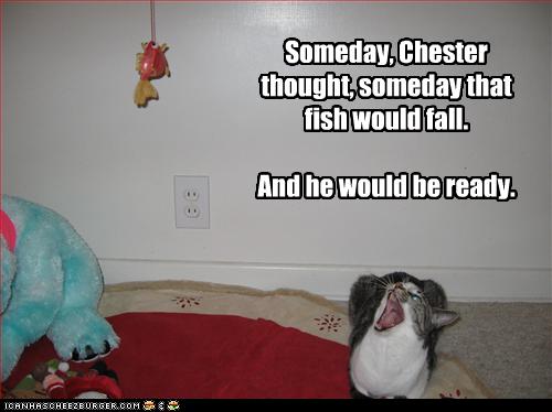 Someday, Chester thought, someday that fish would fall.

And he would be ready.