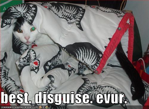 best. disguise. evur.