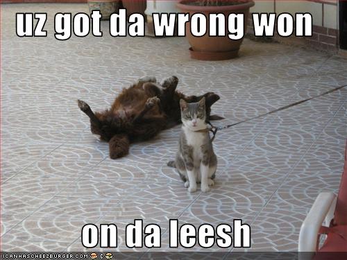 uz got da wrong won  on da leesh