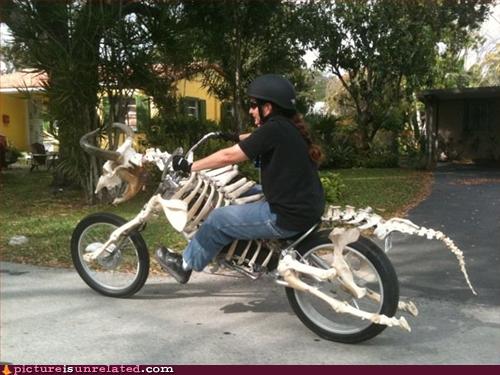 Mad Cow Bike