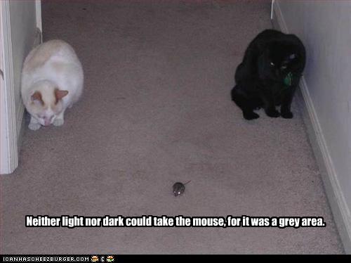 Neither light nor dark could take the mouse, for it was a grey area.