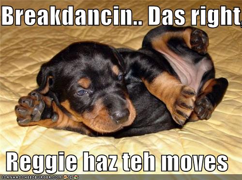 Breakdancin.. Das right,   Reggie haz teh moves