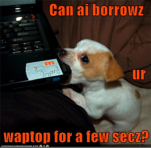 Can ai borrowz  ur   waptop for a few secz?