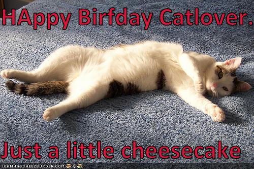 HAppy Birfday Catlover...  Just a little cheesecake