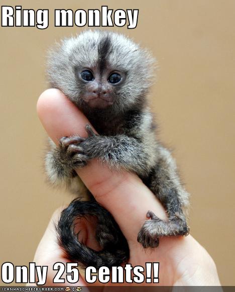 Ring monkey  Only 25 cents!!