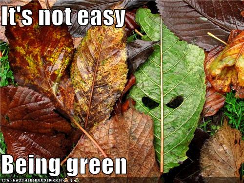 It's not easy  Being green