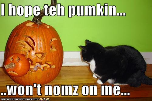 I hope teh pumkin...  ..won't nomz on me...